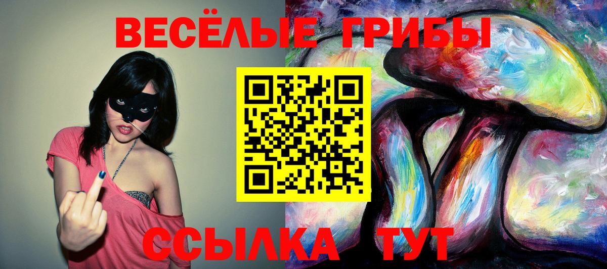 Галлюциногенные грибы MAGIC MUSHROOMS  Псилоцибиновые грибы мухоморы  Костомукша  Вход с VPN 
