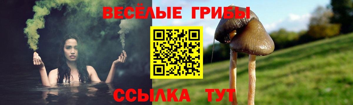 Галлюциногенные грибы Psilocybine cubensis Костомукша